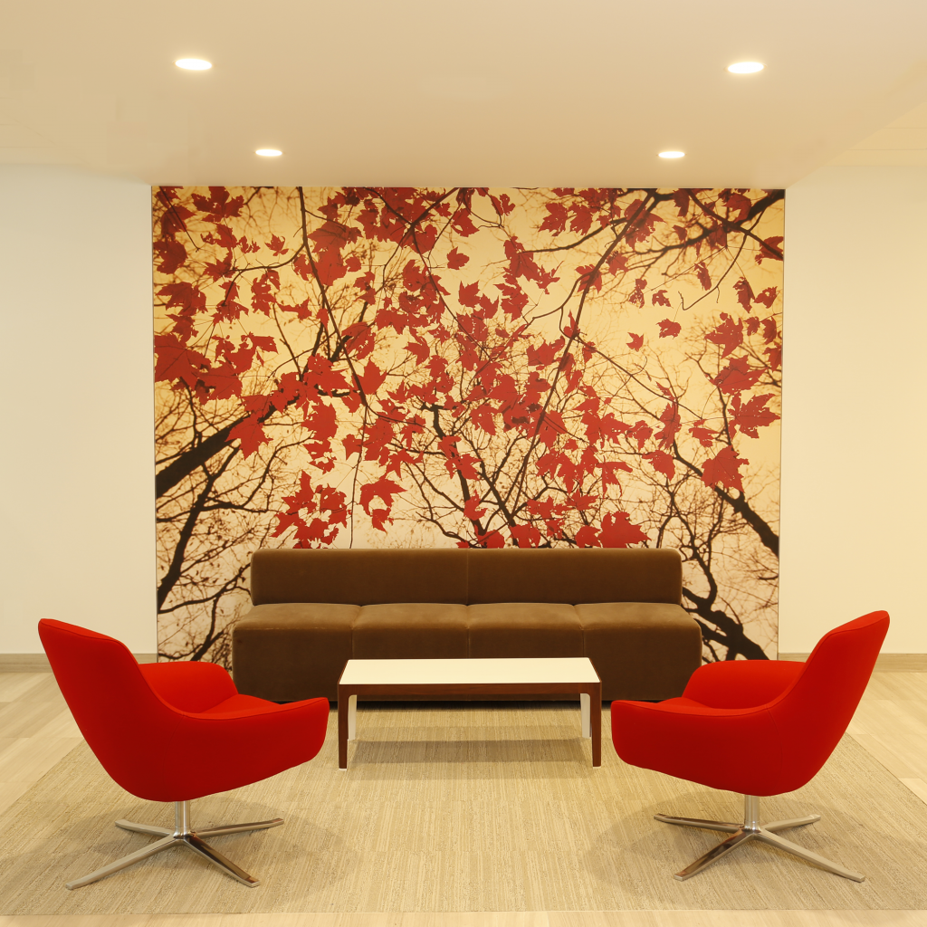 Nature inspired Interior Design | Kimberley Morris Design